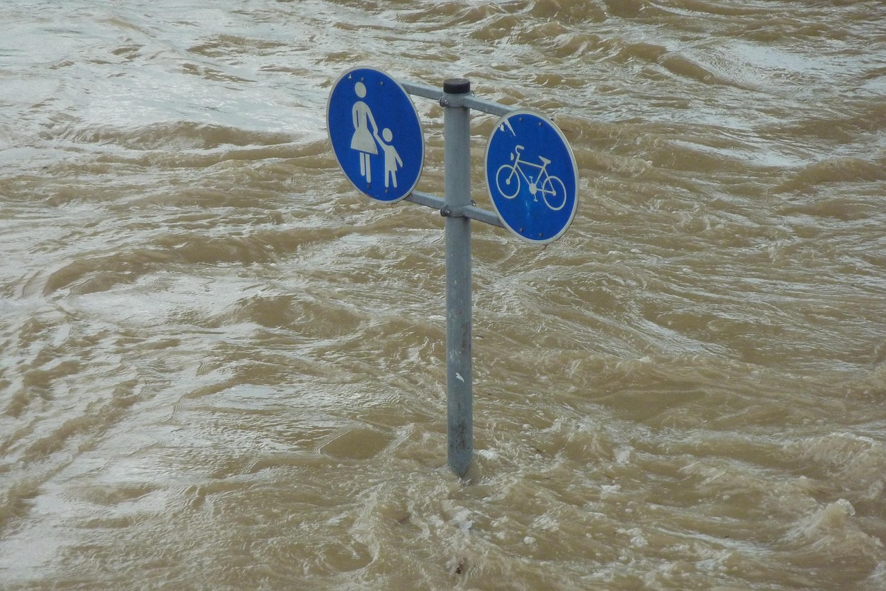 flood, sign, downfall, water, flooding, flooded, environment, catastrophe, pedestrian, cyclist, danube, natural disaster, environmental protection, storm, danube bank, riverbank, nature, force of nature, climate protection, water level, flow, riverside, flood of the century, civil protection, climate change, flood disaster, earth day